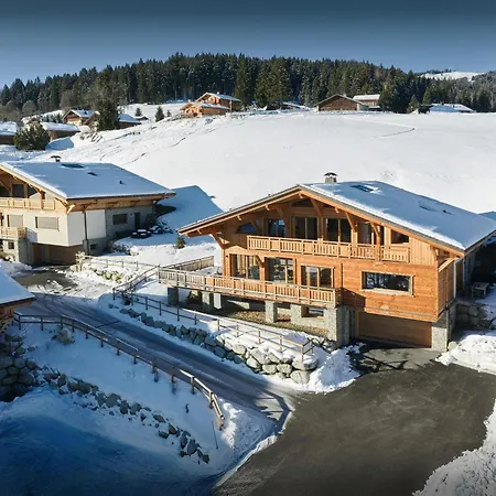 Condor Andino - Ovo Network Chalet *