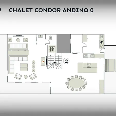 Condor Andino - Ovo Network *